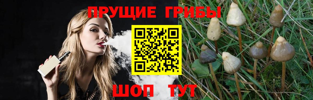 Галлюциногенные грибы Cubensis Можайск